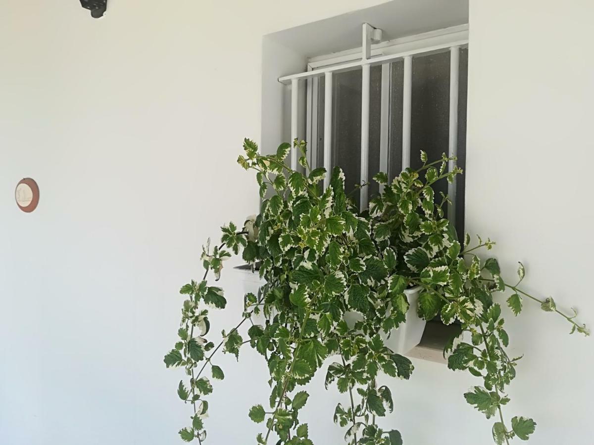 Aparthotel Il Sogno Alberobello Exterior foto